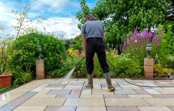 Best Fence Cleaning and Maintenance in Prairie City, IA