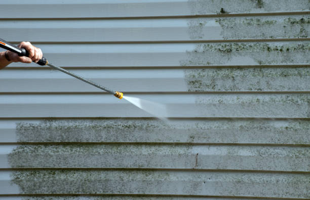 Best Window and Screen Pressure Cleaning in Prairie City, IA