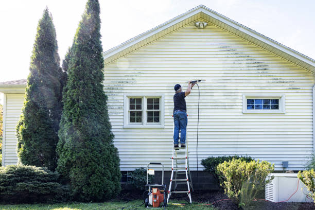Best Vinyl Siding Pressure Washing in Prairie City, IA